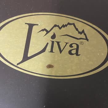 Livashop Yaş Pastadan Taş Çıktı.