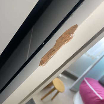 Fulya Nakliyat Hakkında Şikayetçiyim