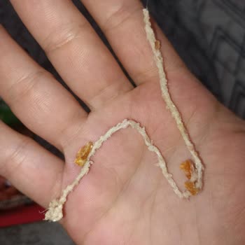 Peyman Tuzlu Fıstık İçinden Kıllı İp Çıktı