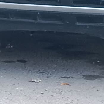 W.A.S Özel Servis Şikayeti