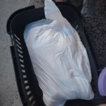 Fatih Hayvan Hastanesi Göz Göre Göre Yavru Köpeğimi Öldürdüler