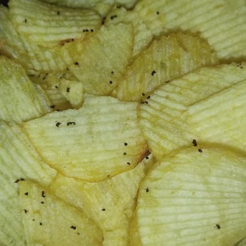Ruffles Sade Cipsin İçinden Karınca Parçaları Çıktı