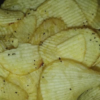 Ruffles Sade Cipsin İçinden Karınca Parçaları Çıktı