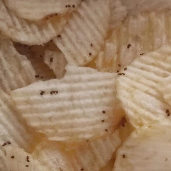 Ruffles Sade Cipsin İçinden Karınca Parçaları Çıktı