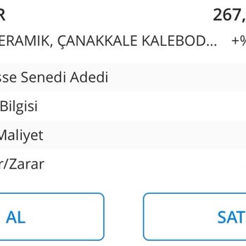 Denizbank Halka Arz Hissem Kayboldu