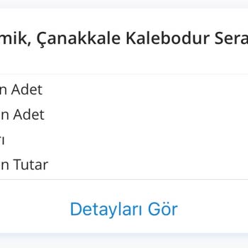 Denizbank Halka Arz Hissem Kayboldu