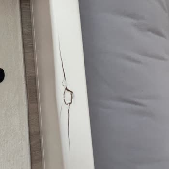 Lilgaea Yatak İskeleti Hasarlı Çıkmasına Rağmen Yardımcı Olmadılar