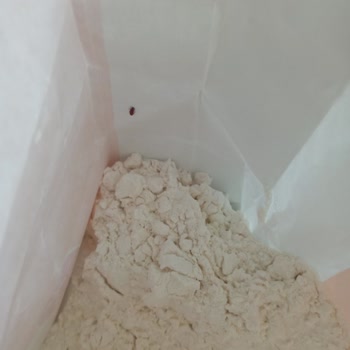 Söke UN'UMDAN 2. Kez Böcek Çıktı!