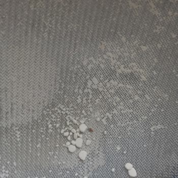 Söke UN'UMDAN 2. Kez Böcek Çıktı!