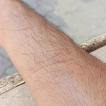 Aras Kargo Kocasinan Şubesi Teslimat Yapmadılar