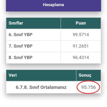 Milli Eğitim Bakanlığı (MEB) İstediğim Liseye 0,8749'luk Puanla Giremedim