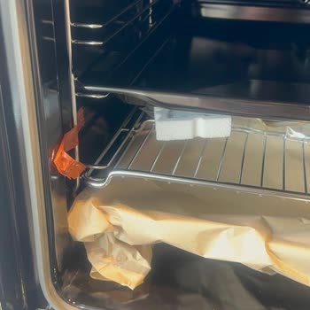 Bosch Marka Ankastre Fırın Boya Atması