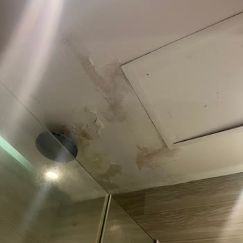 Halal Paradise Didim Kalitesiz Hizmet