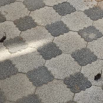 İBB - İstanbul Büyükşehir Belediyesi Bahçemizde Fareler Var