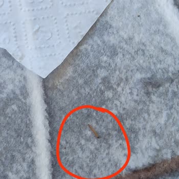 Tuğba Kuruyemişten Aldığımız Çiğ Kuruyemiş Kurtlu Çıktı