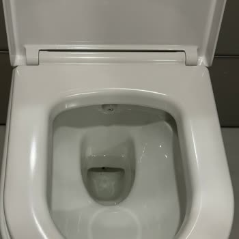 Duravit Hatalı Klozet Verdi Ve Ürünlerinin Arkasında Durmuyor