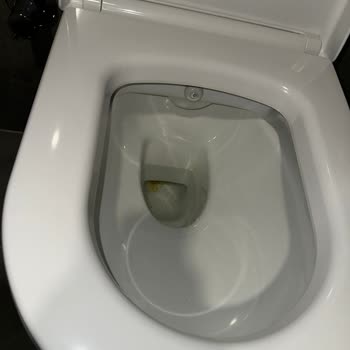 Duravit Hatalı Klozet Verdi Ve Ürünlerinin Arkasında Durmuyor