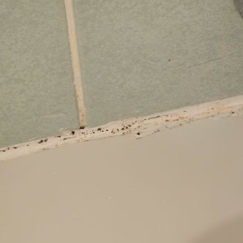 Swandor Hotels & Resorts - Kemer Memnuniyetsizliği