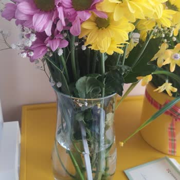 Çiçek Sepeti Pişmanlığı