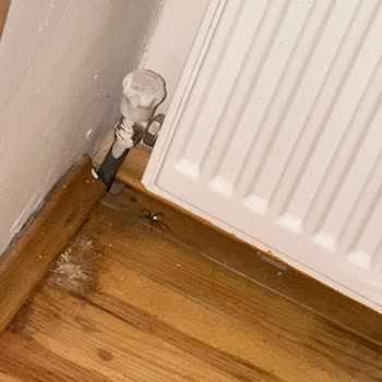 Masal Yamaç Otel Böcekler Ve Temizlik Sorunu