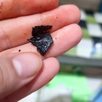 İpek Salçanın İçinden Yabancı Madde Çıktı