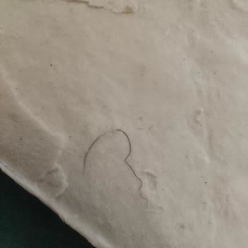 Unmaş Unlu Mamüller Şok Marketten Aldığım Tamköy Markalı Yufkadan Kıl Çıktı.