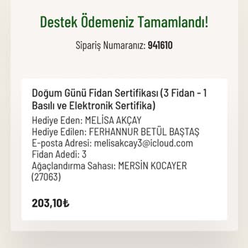 Tema Vakfı Elektronik Sertifikamın Mail Adresime Ulaşmaması