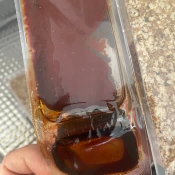 Şekeroğlu Baharat Şekeroğlu Sıra Çiğ Köfte Setinin Sosları Akmış Ve Kullanılmaz Haldeydi