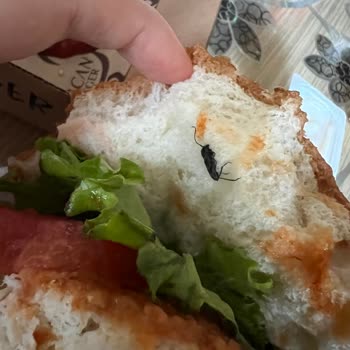 Ercan Burger'da Hijyenik Olmayan Ürün Satılması
