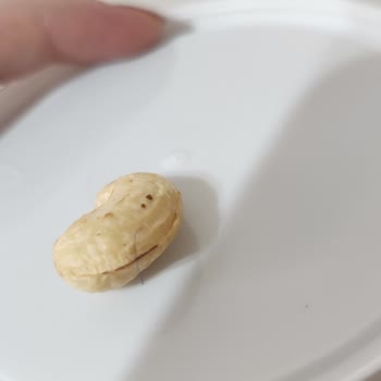 Simbat Kuruyemişte Kıl Çıktı