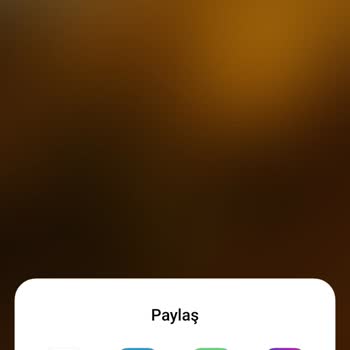 Instagram Hikaye Paylaşamama Sorunu
