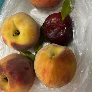 Şok Marketler Eksik Ve Kusurlu Ürün Getirdi, İade Ve Değişim Yapmıyor!