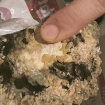 Tat Bakliyat Bulgur Küflü