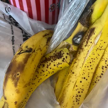 Vaditepe Bahçeşehir Carrefour'a Mini Vaditepe