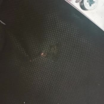 Başaran Sandalye Masa Sandalye Takımı Hasarlı