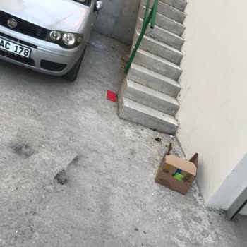 A101 Market Bahçemize Dökülen Koli Atıkları