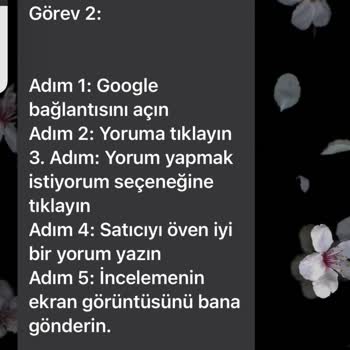 WhatsApp Bana Merhaba Dedi İş Teklif Etti
