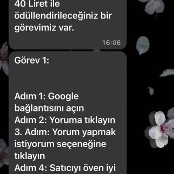 WhatsApp Bana Merhaba Dedi İş Teklif Etti