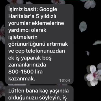 WhatsApp Bana Merhaba Dedi İş Teklif Etti