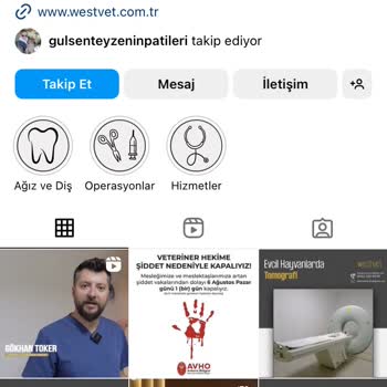Westvet Veteriner Kliniği Hayvanlara Yanlış Teşhis Koyma