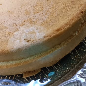 A101 Nimet Pastaban Küflenmiş