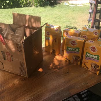 Amazon.com'dan Alınan Köpek Bisküvisi Kutuları Yırtık Geldi