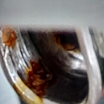 Bosch Bulaşık Makinesi Paslanma Sorunu