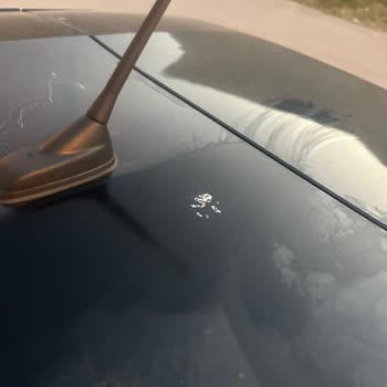 Opel Tavan Boyası Sorunu