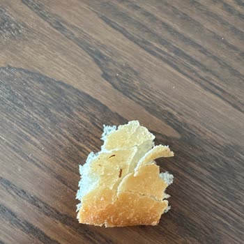 İspir Ekmek Pasta Cafe Bistro Ekmekte Böcek Çıkması