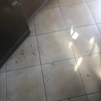 Fakir Dual Trex Doğrayıcımın Cam Haznesi Patladı