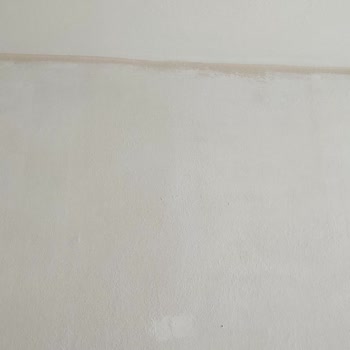 Fawori Boyanın Yanıltıcı Katalog Ve Boyası