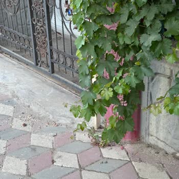 Turkcell Superonline Fiber Altyapı Duvarımıza Bitişik Ama Fiber Yok