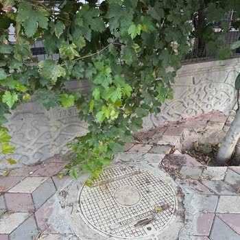 Turkcell Superonline Fiber Altyapı Duvarımıza Bitişik Ama Fiber Yok