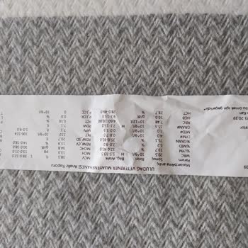 Osmangazi Belediyesi Tedavisi Tamamlanmayan Sokak Kedisi